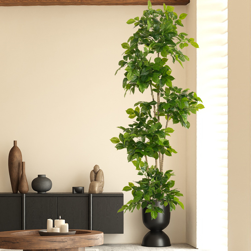 2-78in grandes plantas falsas  - Fiddle Leaf Fig avaliação e preço