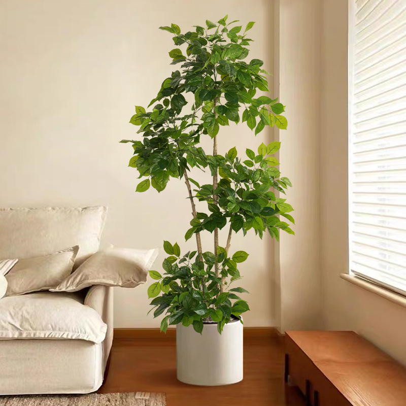 2-78in grandes plantas falsas  - Fiddle Leaf Fig avaliação e preço