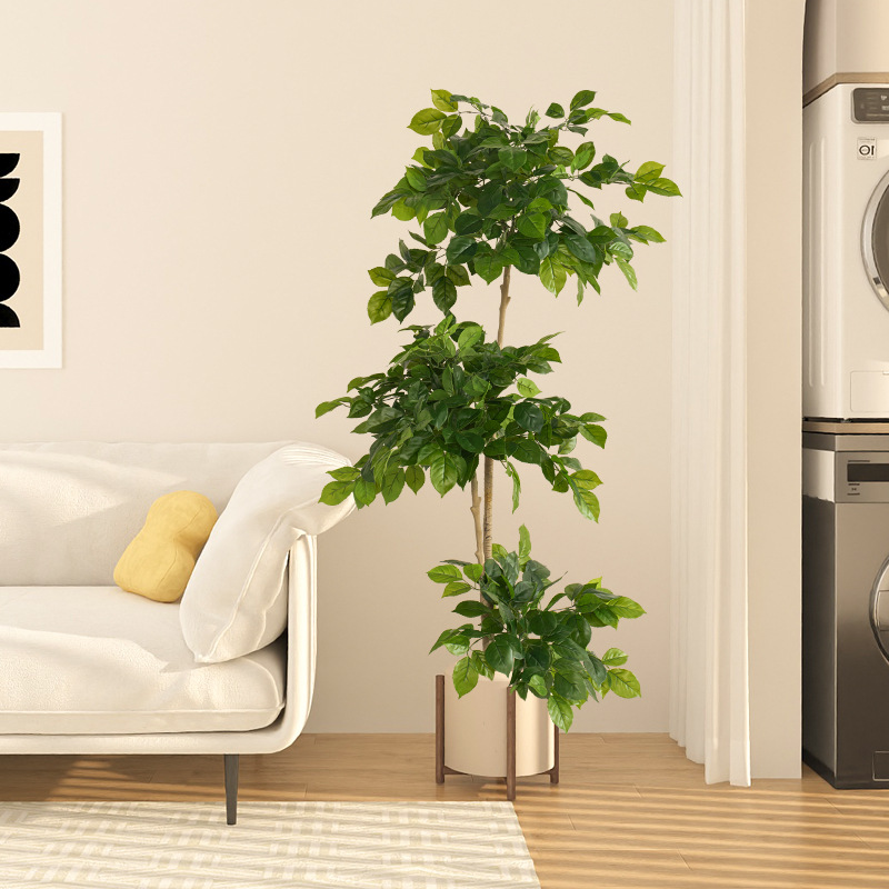 2-78in grandes plantas falsas  - Fiddle Leaf Fig avaliação e preço