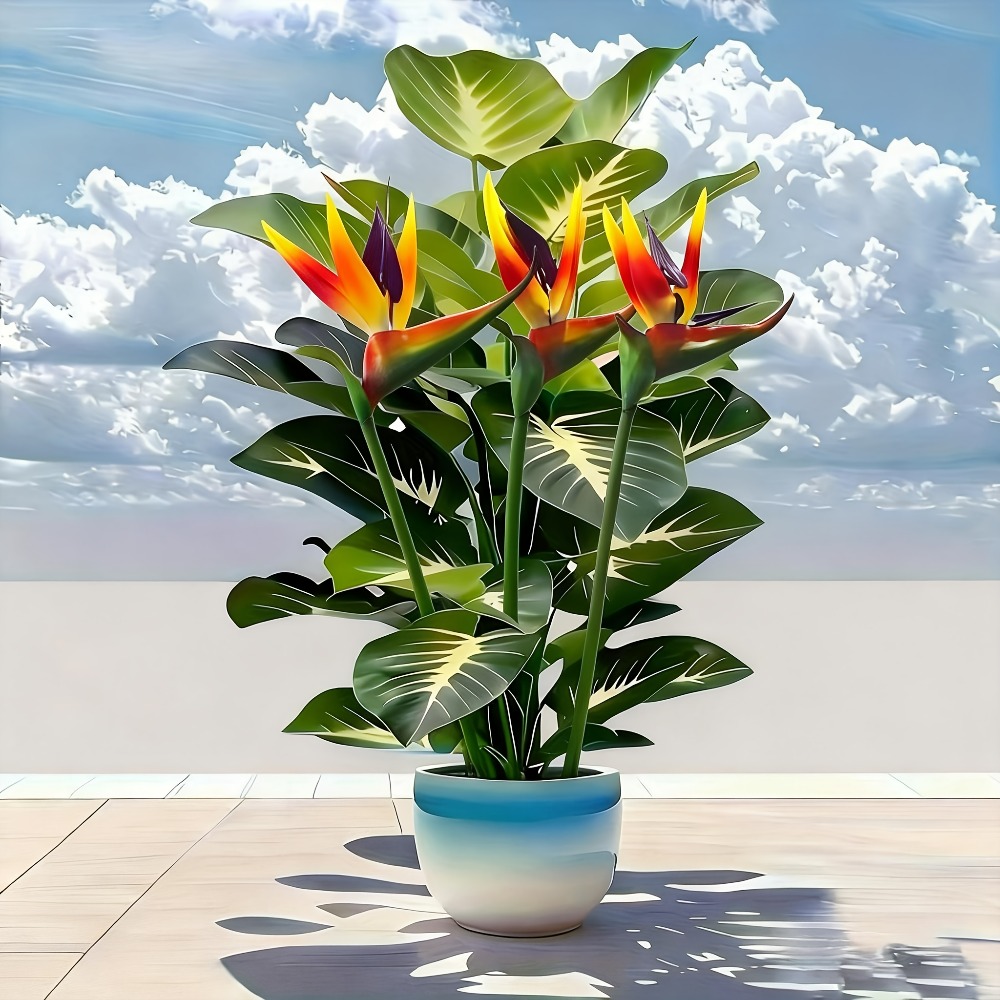Plantas Artificiais de Ave do  - Fiddle Leaf Fig avaliação e preço